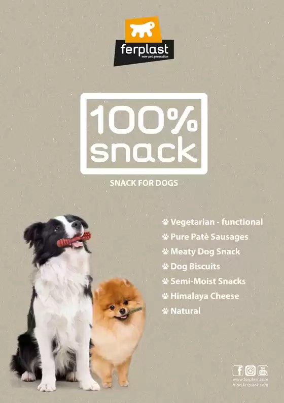 Volantino Ferplast a Verbania | I nostri migliori affari | 2025-10-29T00:00:00.000Z - 2025-11-12T00:00:00.000Z