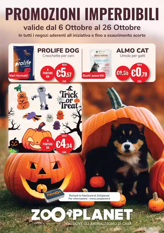 Volantino ZooPlanet a Cavallino | Offerte Zoo Planet | 2025-10-29T00:00:00.000Z - 2025-11-12T00:00:00.000Z