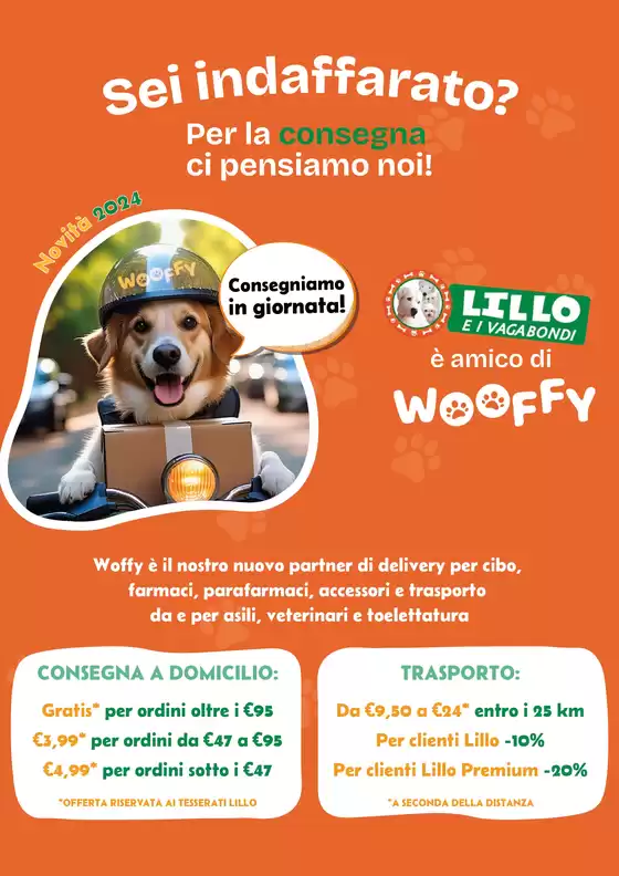 Volantino Lillo e i Vagabondi | add5e90c bca6 47d7 a44b cdd1a8a93ce0 Lillo Wooffy LocandinaA4 | 2025-10-29T00:00:00.000Z - 2025-11-12T00:00:00.000Z