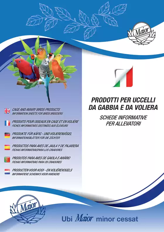 Volantino Cliffi | MAIOR | 2025-10-29T00:00:00.000Z - 2025-11-12T00:00:00.000Z