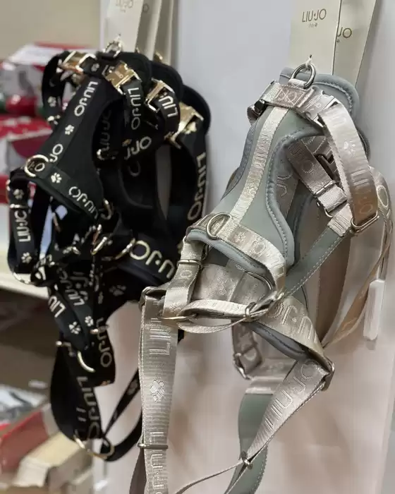 Volantino Alfa Tec a Carpi | Le migliori offerte per tutti i clienti | 2025-10-30T00:00:00.000Z - 2025-11-13T00:00:00.000Z