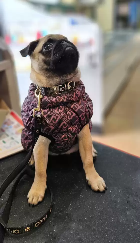 Volantino Alfa Tec a Bologna | Affari esclusivi | 2025-10-31T00:00:00.000Z - 2025-11-14T00:00:00.000Z