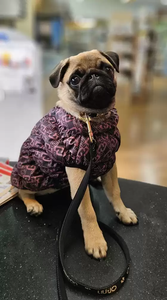 Volantino Alfa Tec a Bologna | Grandi sconti su prodotti selezionati | 2025-10-31T00:00:00.000Z - 2025-11-14T00:00:00.000Z