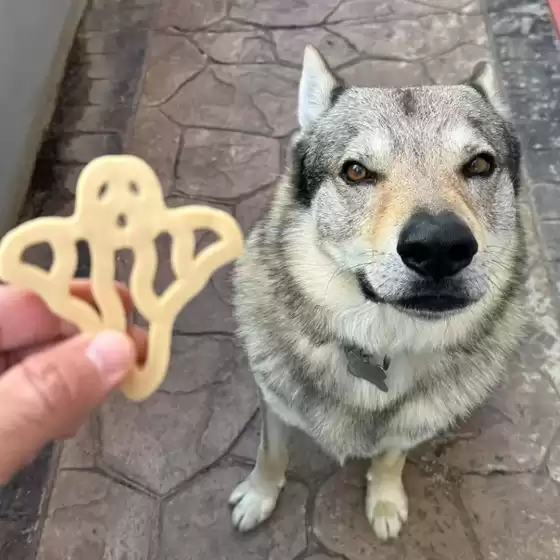 Volantino  a Pinerolo | Fauna Food | 2025-11-01T00:00:00.000Z - 2025-11-01T00:00:00.000Z