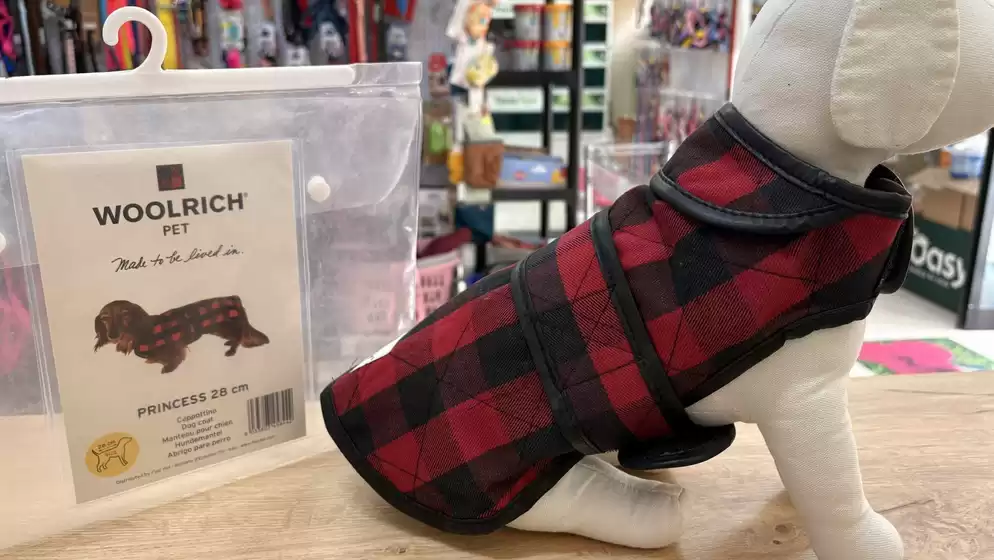 Volantino  a Montecchio Maggiore | Fauna Food | 2025-11-02T00:00:00.000Z - 2025-11-02T00:00:00.000Z