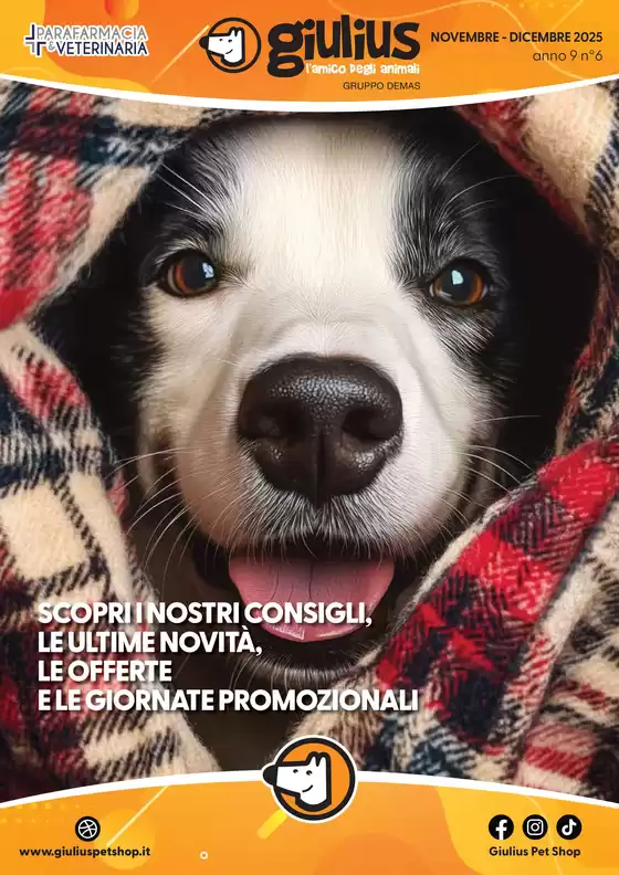 Volantino Giulius | NOVEMBRE - DICEMBRE 2025 | 2025-11-03T00:00:00.000Z - 2025-12-31T00:00:00.000Z