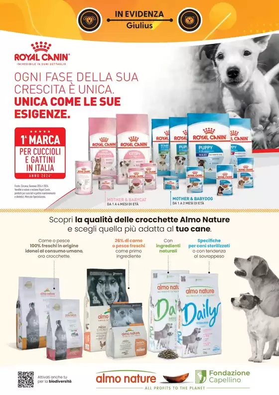 NOVEMBRE - DICEMBRE 2025