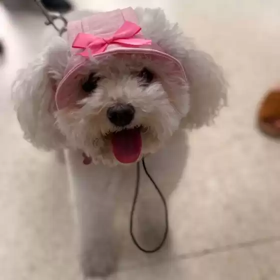 Volantino a Bergamo | Fauna Food | 2025-11-05T00:00:00.000Z - 2025-11-05T00:00:00.000Z