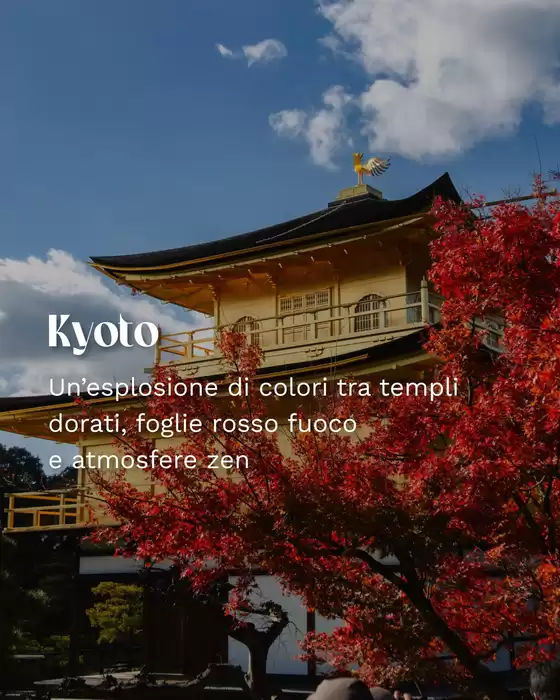 Offerte e promozioni attuali