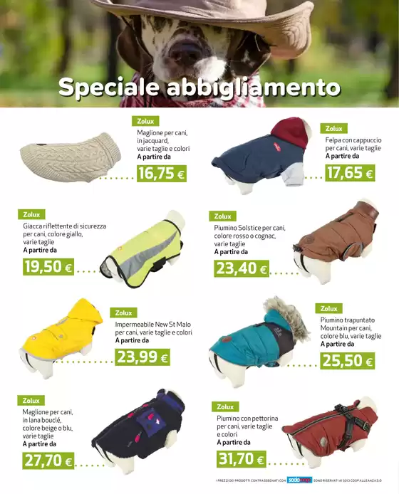 Offerte da indossare!