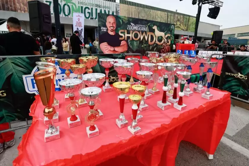 Volantino Zoomiguana | Ampia selezione di offerte | 2025-11-09T00:00:00.000Z - 2025-11-23T00:00:00.000Z