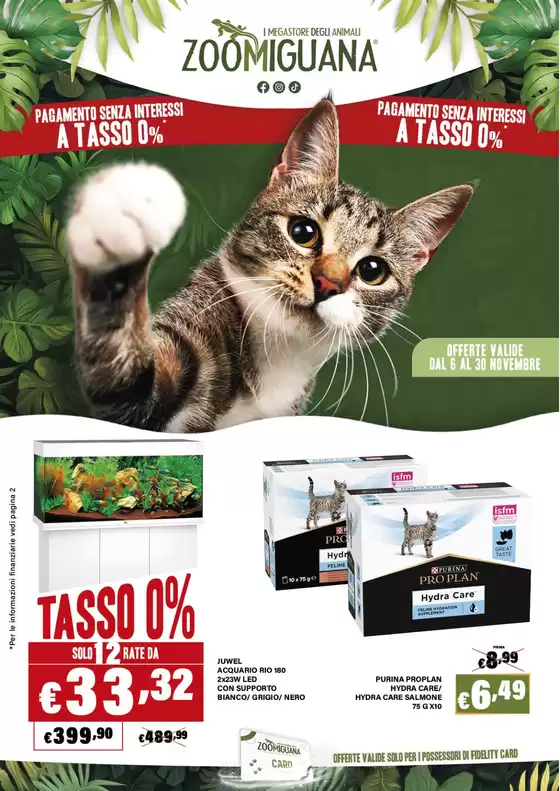 Volantino Zoomiguana | Volantino Zoomiguana | 2025-11-06T00:00:00.000Z - 2025-11-30T00:00:00.000Z