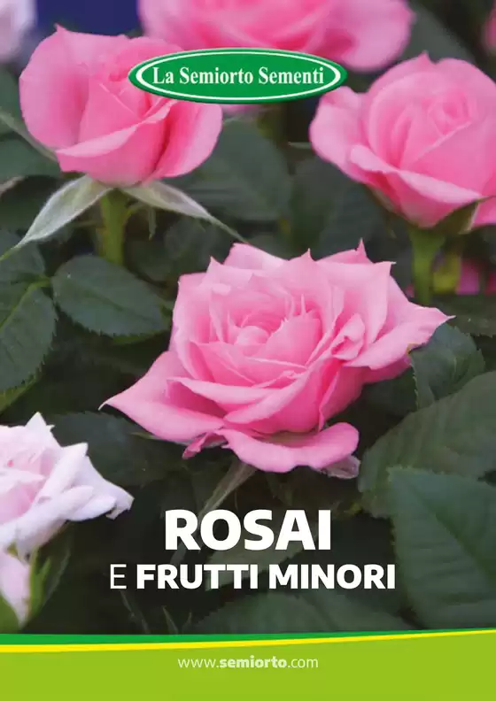 Volantino La Semiorto Sementi a Ardea | ROSAI E FRUTTI MINORI | 2025-11-28T00:00:00.000Z - 2025-12-31T00:00:00.000Z
