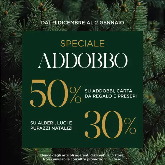 Volantino Coin a Rodengo | Speciale addobbo | 2025-12-10T00:00:00.000Z - 2026-01-02T00:00:00.000Z