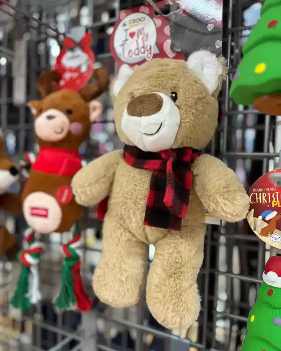 Volantino Alfa Tec a Salerno | Offerte Alfa Tec | 2025-12-11T00:00:00.000Z - 2025-12-25T00:00:00.000Z