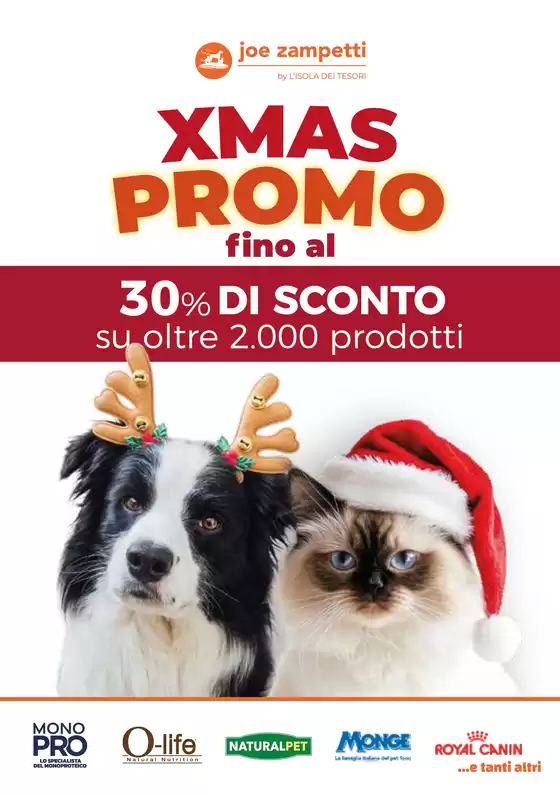 Volantino Joe Zampetti a Salerno | Carnet 25 web | 2025-12-11T00:00:00.000Z - 2025-12-25T00:00:00.000Z