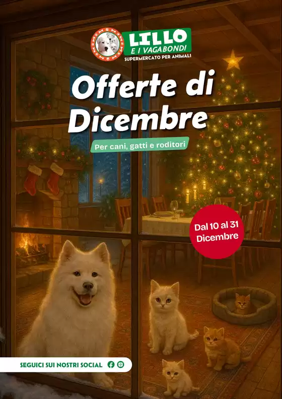 Volantino Lillo e i Vagabondi a Salerno | Offerte di dicembre | 2025-12-10T00:00:00.000Z - 2025-12-31T00:00:00.000Z