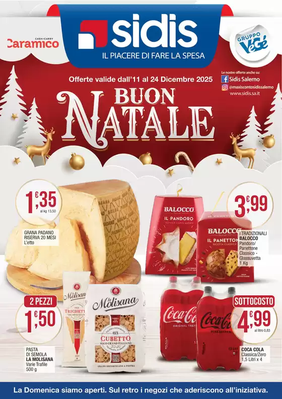 Volantino Sidis a Schio | Buon Natale | 2025-12-11T00:00:00.000Z - 2025-12-24T00:00:00.000Z