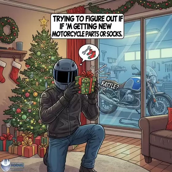 Volantino Hornig a Torino | Hornig | 2025-12-12T00:00:00.000Z - 2025-12-12T00:00:00.000Z