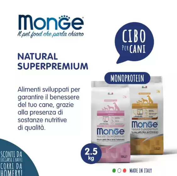 Volantino Homery | OFFERTA DEL MESE | 2025-12-19T00:00:00.000Z - 2025-12-31T00:00:00.000Z