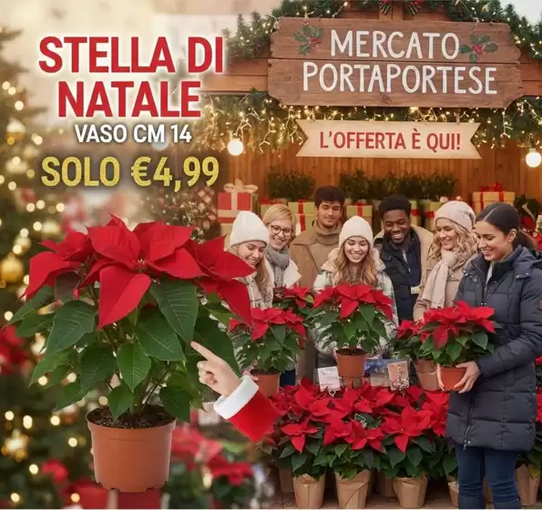 Volantino Mercato Porta Portese a Reggio Calabria | Stella di natale | 2025-12-22T00:00:00.000Z - 2025-12-31T00:00:00.000Z