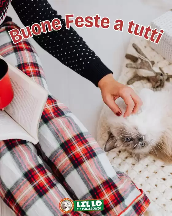 Volantino Lillo e i Vagabondi a Negrar | Offerte Lillo e i vagabondi | 2025-12-25T00:00:00.000Z - 2026-01-08T00:00:00.000Z