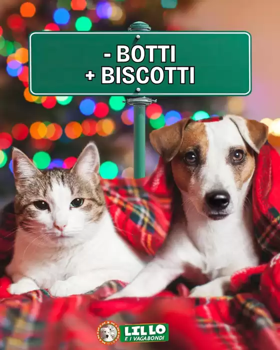 Volantino Lillo e i Vagabondi a Firenze | Offerte Lillo e i vagabondi | 2026-01-01T00:00:00.000Z - 2026-01-15T00:00:00.000Z