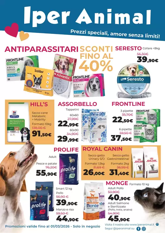 Volantino Iper Animal a Trani | D029c10890569ace915658c1639ea61905264153 | 2026-02-01T00:00:00.000Z - 2026-03-01T00:00:00.000Z