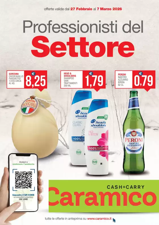 Volantino Caramico | Professionisti del Settore  | 2026-02-27T00:00:00.000Z - 2026-03-07T00:00:00.000Z