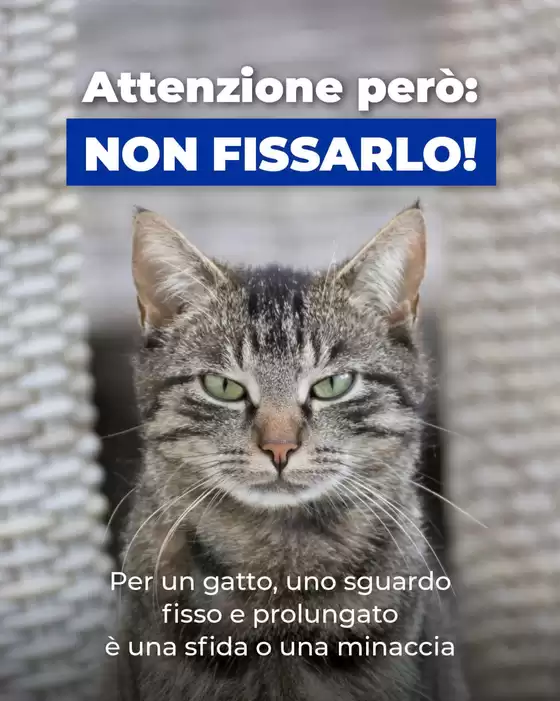 Volantino Alfa Tec a Jesolo | Affari e offerte attuali | 2026-03-04T00:00:00.000Z - 2026-03-18T00:00:00.000Z