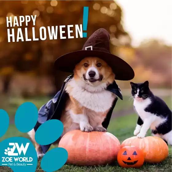 Volantino Zoe World a Campomorone | Zoe World | 2026-03-07T00:00:00.000Z - 2026-03-07T00:00:00.000Z