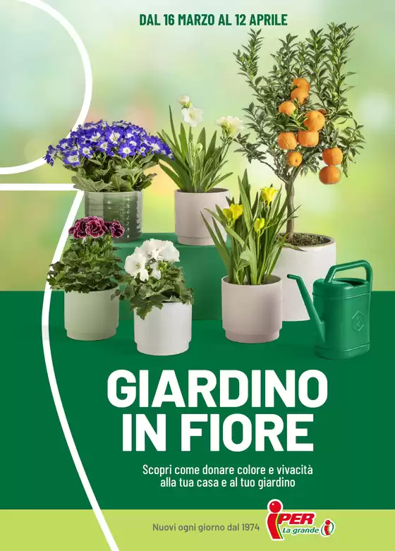 Volantino Iper La grande i a Formia | Giardino in fiore | 2026-03-16T00:00:00.000Z - 2026-04-12T00:00:00.000Z