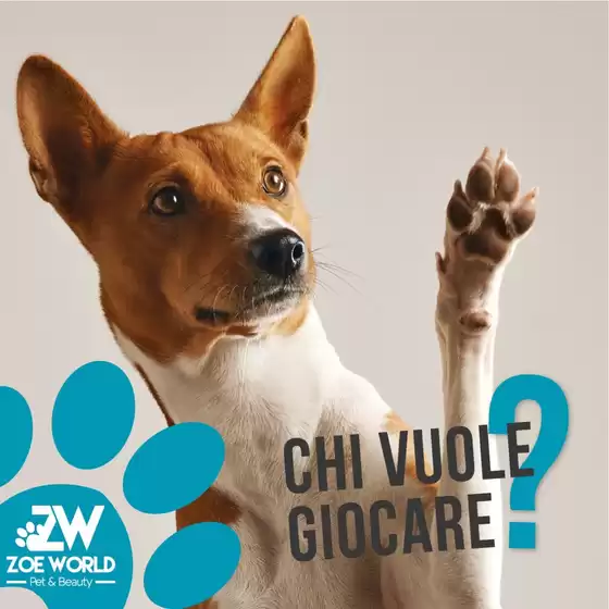 Volantino Zoe World a Serravalle Scrivia | Zoe World | 2026-03-14T00:00:00.000Z - 2026-03-14T00:00:00.000Z