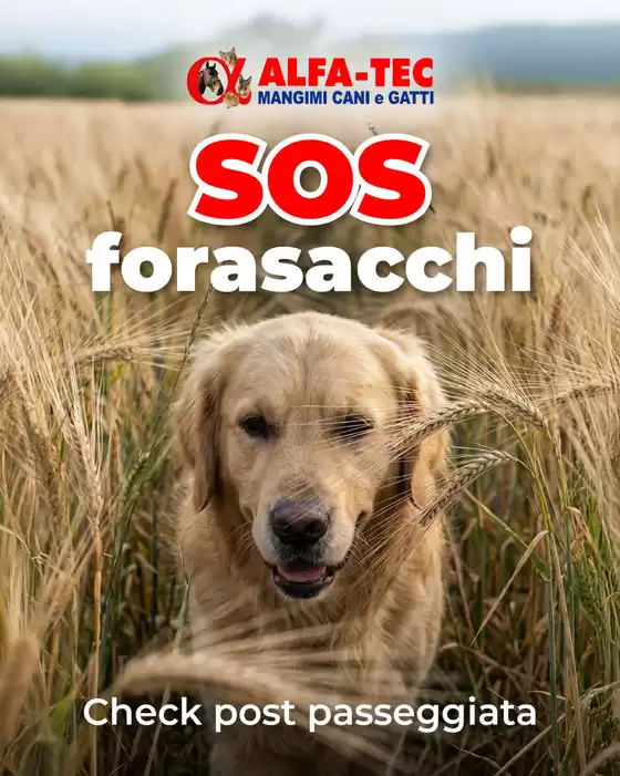 Volantino Alfa Tec a Imperia | Offerte esclusive e affari | 2026-03-17T00:00:00.000Z - 2026-03-31T00:00:00.000Z