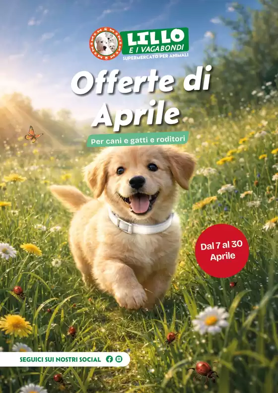 Volantino Lillo e i Vagabondi | E7e85494 4409 4e3c 9fe4 54c1b29201ce VolantinoAprile26 web | 2026-04-07T00:00:00.000Z - 2026-04-30T00:00:00.000Z