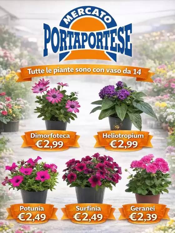 Volantino Mercato Porta Portese | Tutte le painte sono con vaso da 14 | 2026-04-09T00:00:00.000Z - 2026-04-14T00:00:00.000Z