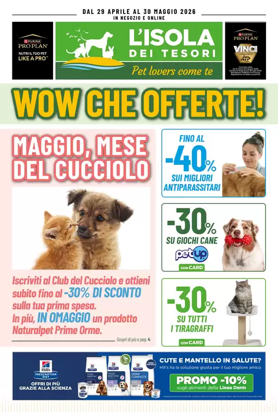 Volantino Isola dei Tesori a Lastra a Signa | 05 Isola Tesori 26 | 2026-04-30T00:00:00.000Z - 2026-05-14T00:00:00.000Z