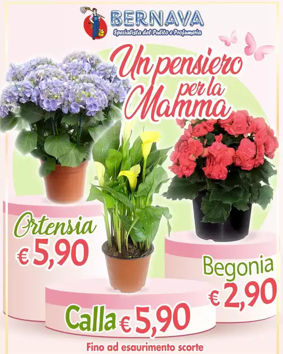 Volantino Bernava | Un pensiero per la mamma | 2026-05-07T00:00:00.000Z - 2026-05-10T00:00:00.000Z