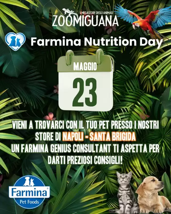 Volantino Zoomiguana | I nostri migliori affari | 2026-05-23T00:00:00.000Z - 2026-05-23T00:00:00.000Z