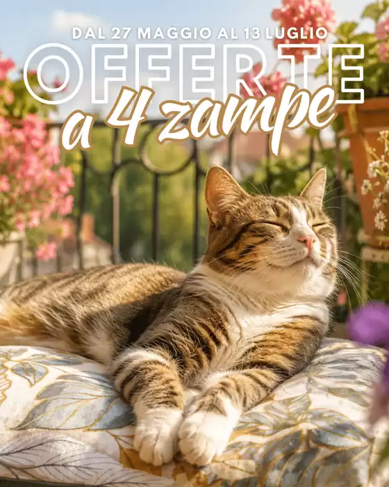 Volantino Giardineria | Offerte a 4 zampe | 2026-05-28T00:00:00.000Z - 2026-06-13T00:00:00.000Z