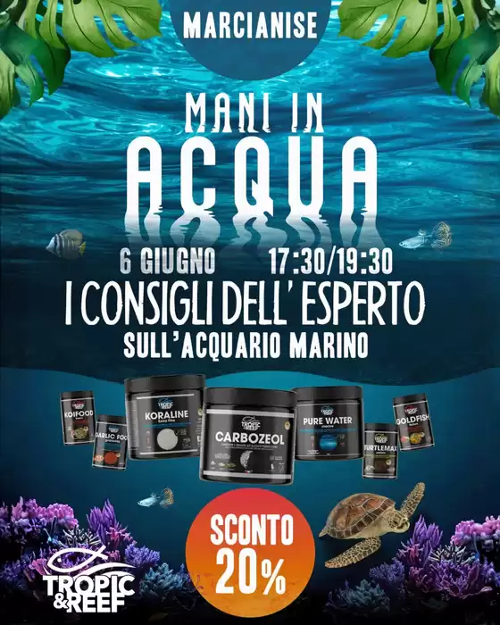Volantino Zoomiguana | Offerte per cacciatori di affari | 2026-06-06T00:00:00.000Z - 2026-06-06T00:00:00.000Z