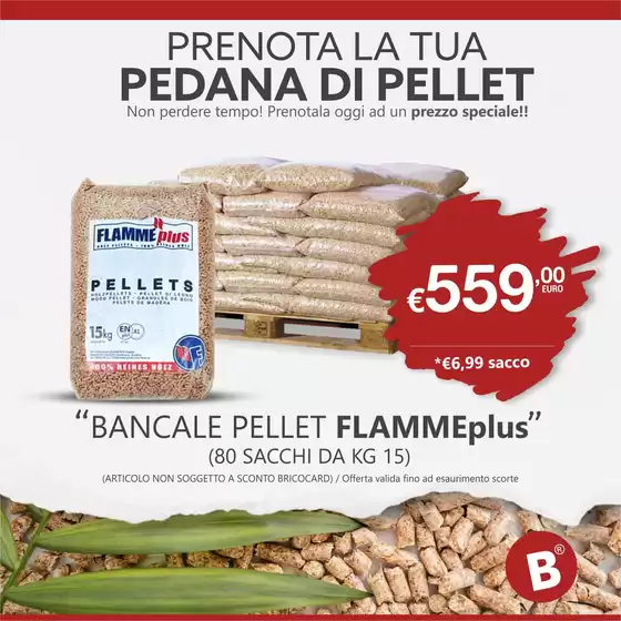 Volantino Bricocity | Prenota la tua pedana di pellet | 2026-06-03T00:00:00.000Z - 2026-06-07T00:00:00.000Z