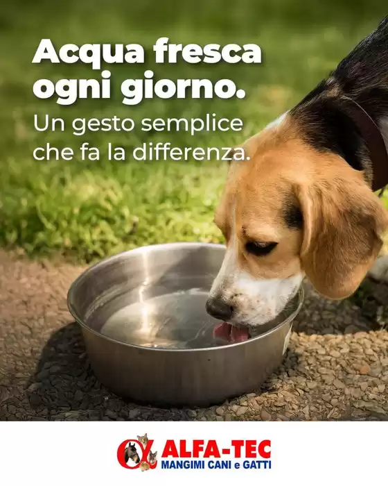Volantino Alfa Tec | I nostri migliori affari | 2026-06-07T00:00:00.000Z - 2026-06-21T00:00:00.000Z
