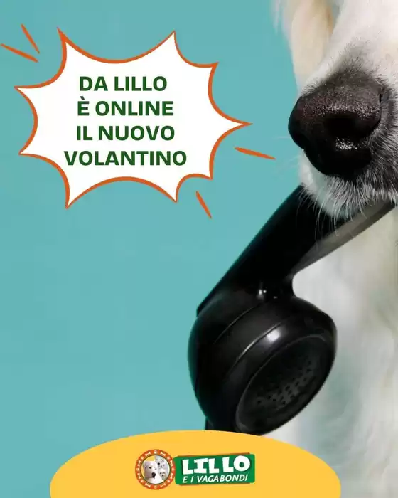 Volantino Lillo e i Vagabondi | Offerte Lillo e i vagabondi | 2026-06-13T00:00:00.000Z - 2026-06-27T00:00:00.000Z