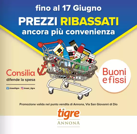 Volantino Tigre | Prezzi ribassati | 2026-06-17T00:00:00.000Z - 2026-08-20T00:00:00.000Z