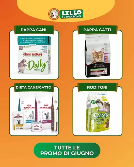 Volantino Lillo e i Vagabondi | Offerte Lillo e i vagabondi | 2026-06-01T00:00:00.000Z - 2026-06-30T00:00:00.000Z
