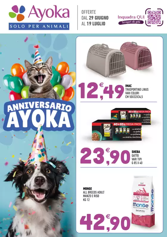 Volantino Ayoka | Anniversario ayoka | 2026-06-29T00:00:00.000Z - 2026-07-19T00:00:00.000Z