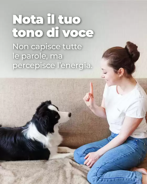 Volantino Alfa Tec | Le migliori offerte per gli acquirenti parsimoniosi | 2026-07-03T00:00:00.000Z - 2026-07-17T00:00:00.000Z