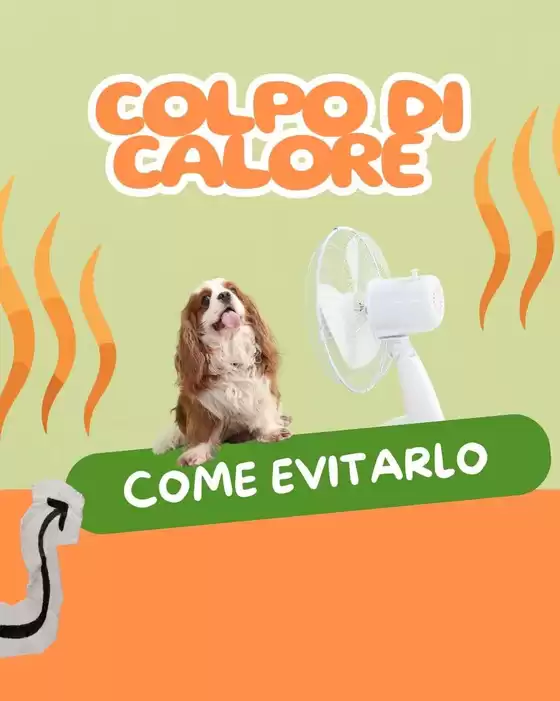 Volantino Zoolandia Family | Offerte Zoolandia Family | 2026-07-10T00:00:00.000Z - 2026-07-24T00:00:00.000Z