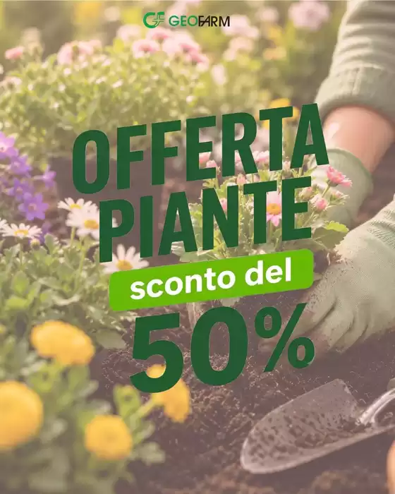 Volantino Geofarm a Monte Castello di Vibio | Offerta piante sconto del 50% | 2026-07-17T00:00:00.000Z - 2026-07-31T00:00:00.000Z